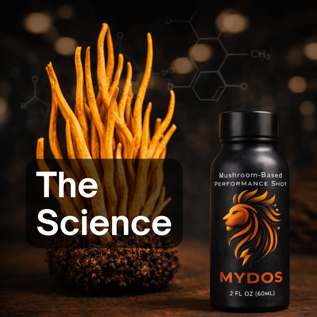 Mydos cordyceps mushroom energy shot bottle and cordyceps mushroom