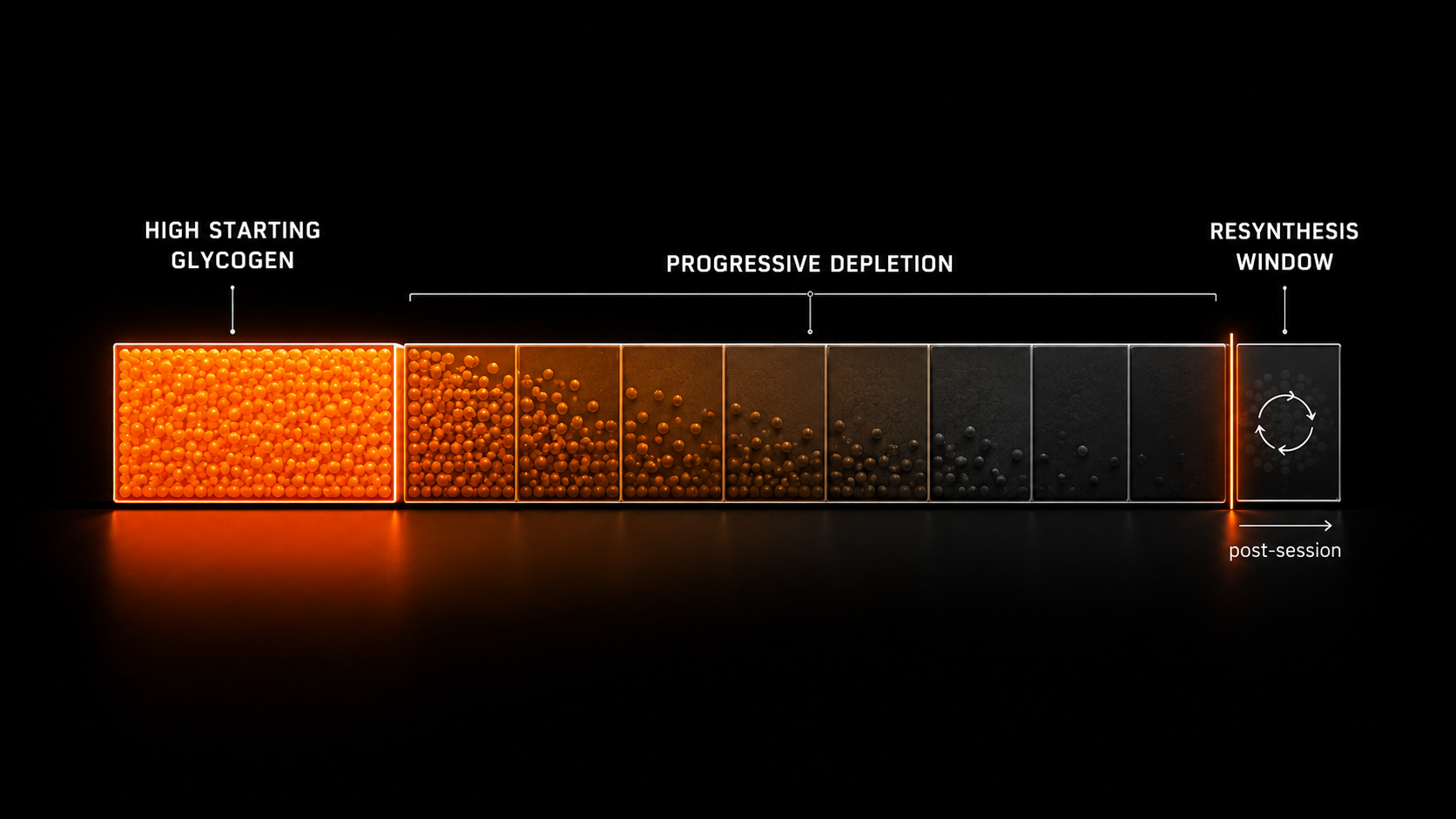 Abstract 3D timeline bar showing glycogen state from full (orange) to depleted (charcoal) with resynthesis window marked — fuel-availability model in practice