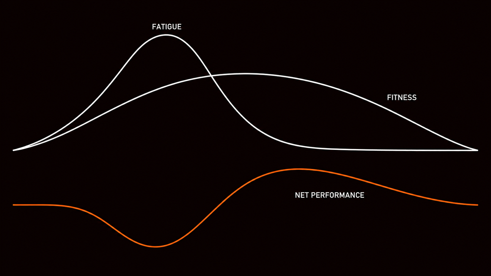 Scientific graph showing fitness and fatigue curves and their net difference over time — the fitness-fatigue model