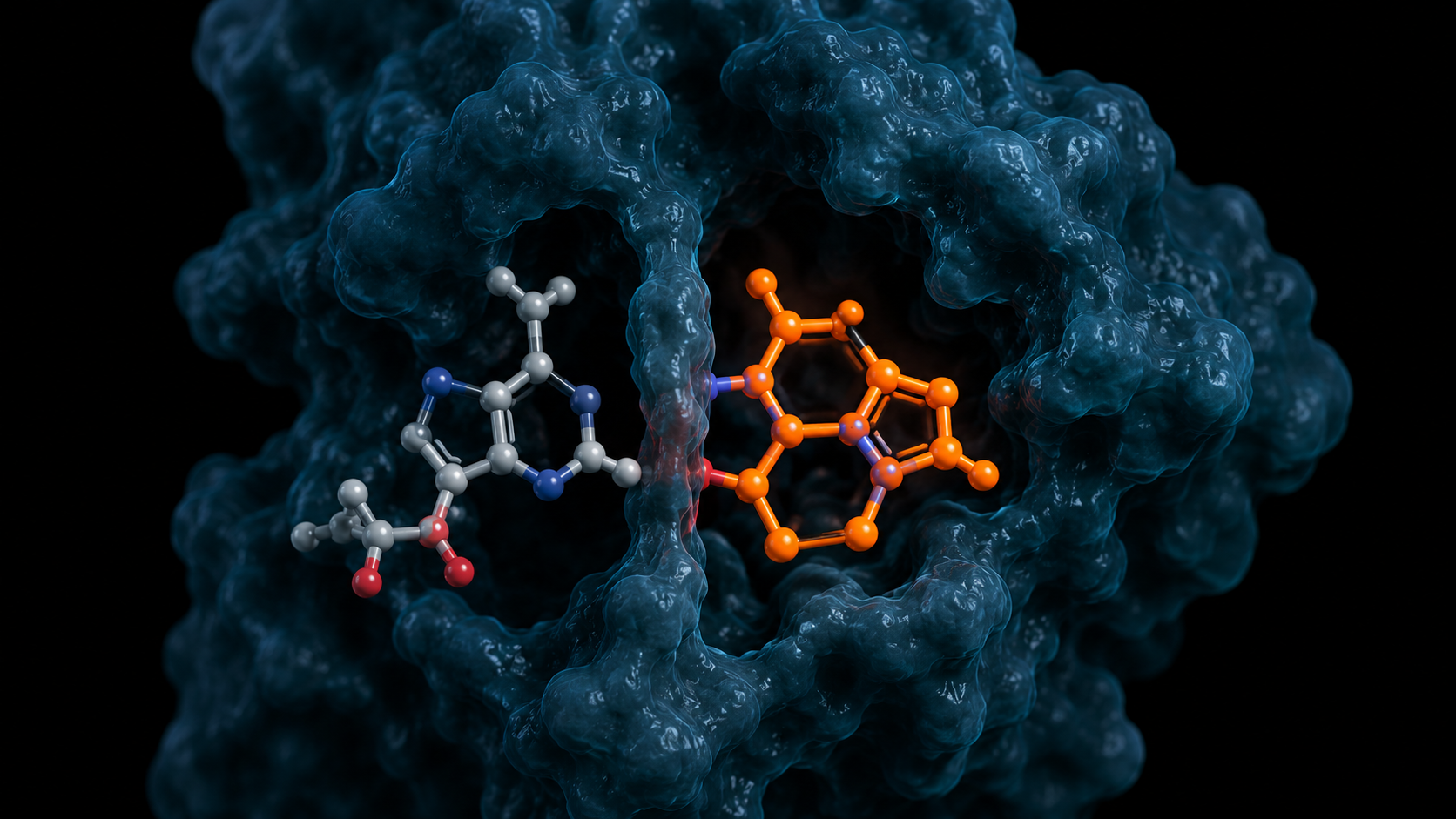 3D medical render of caffeine molecule blocking adenosine receptor binding site, clinical cross-section view
