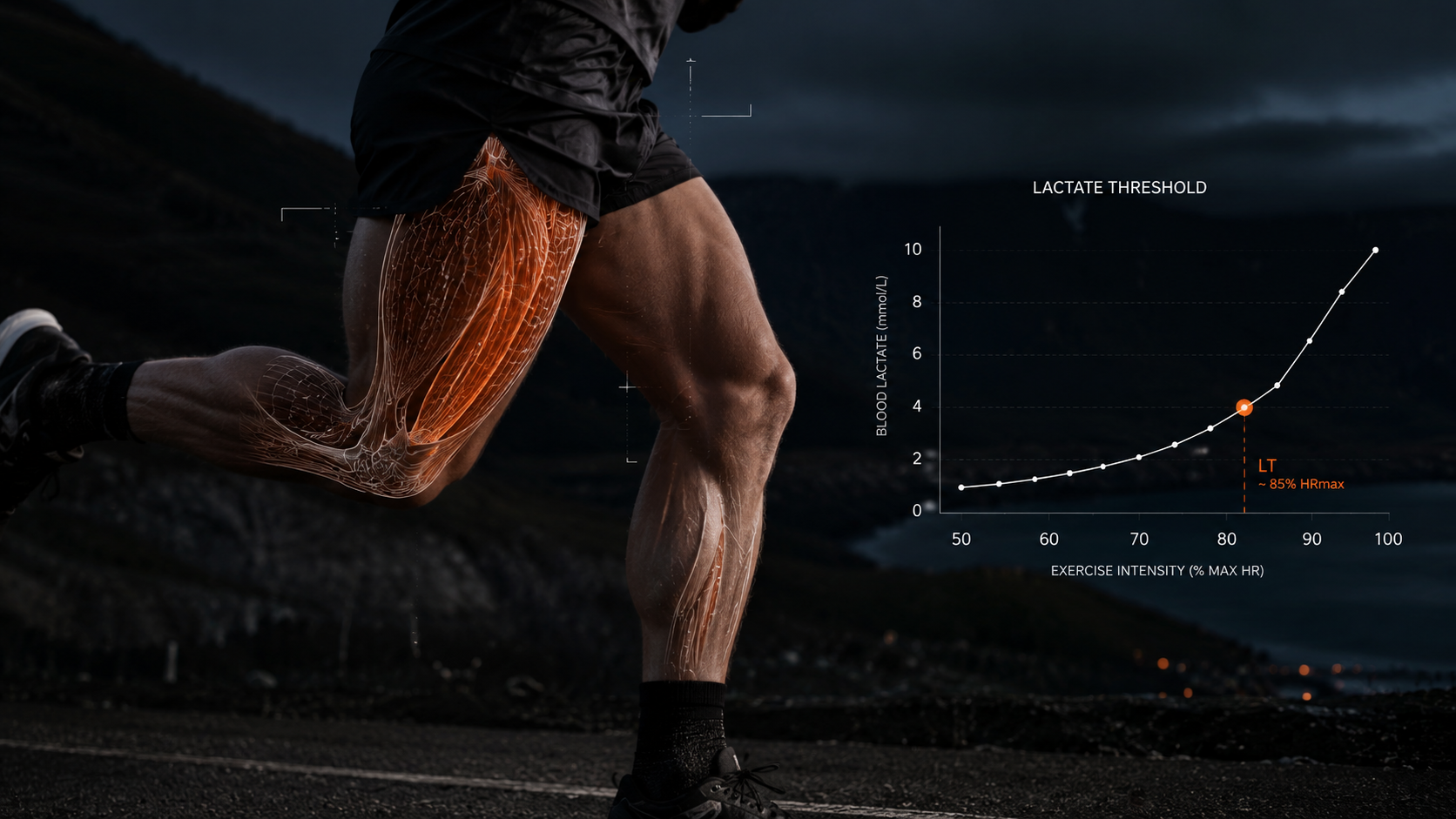 Endurance athlete in motion with anatomical overlay showing lactate threshold and muscle fiber mitochondrial capacity