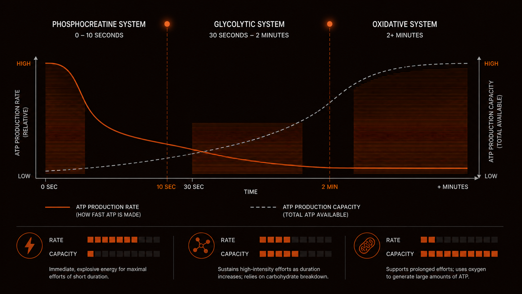 Scientific diagram showing the three energy systems — phosphocreatine, glycolytic, and oxidative — by ATP production rate and duration