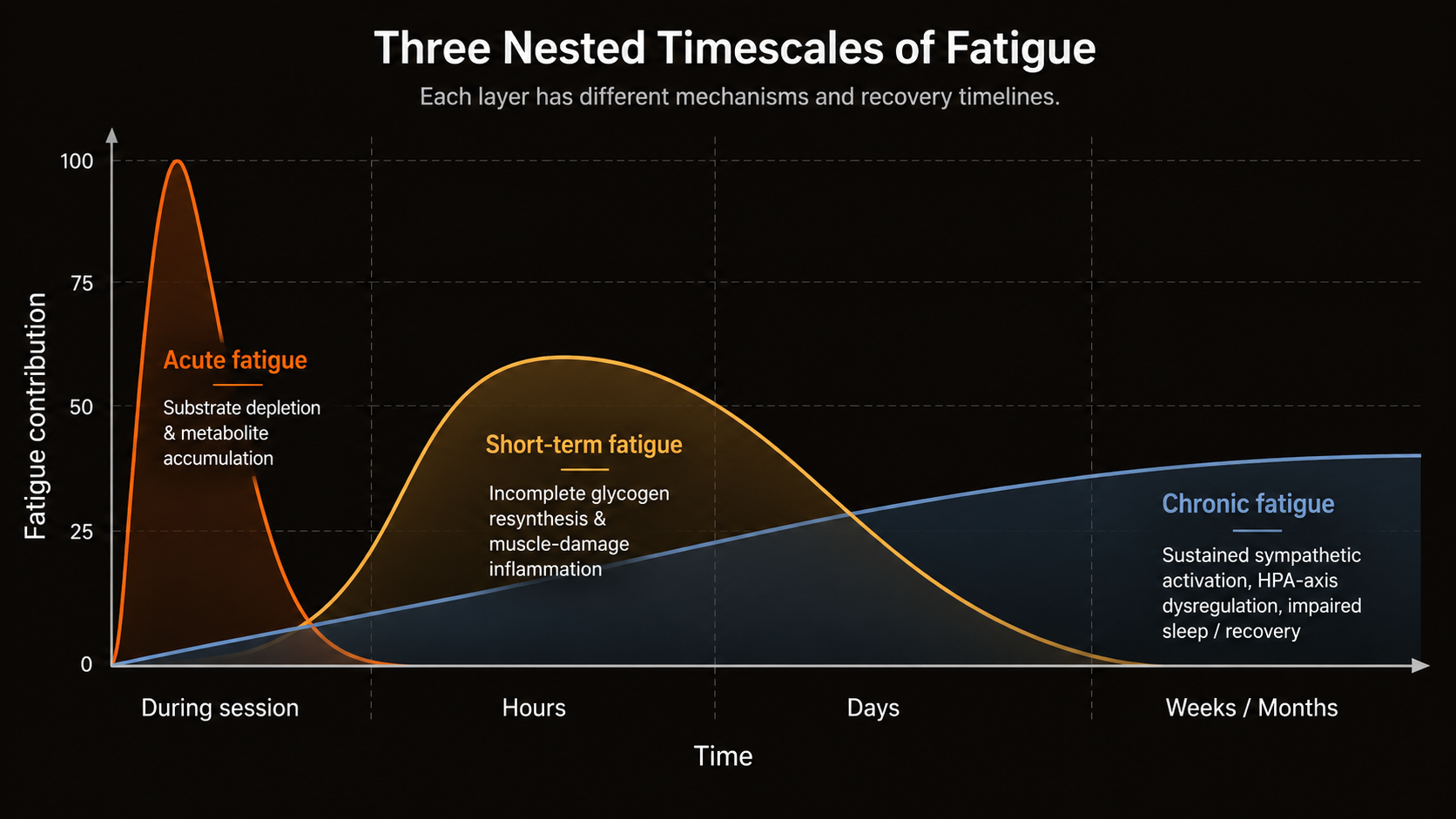 Graph showing three nested timescales of fatigue: acute fatigue during a session, short-term fatigue over hours to days, and chronic fatigue over weeks to months.