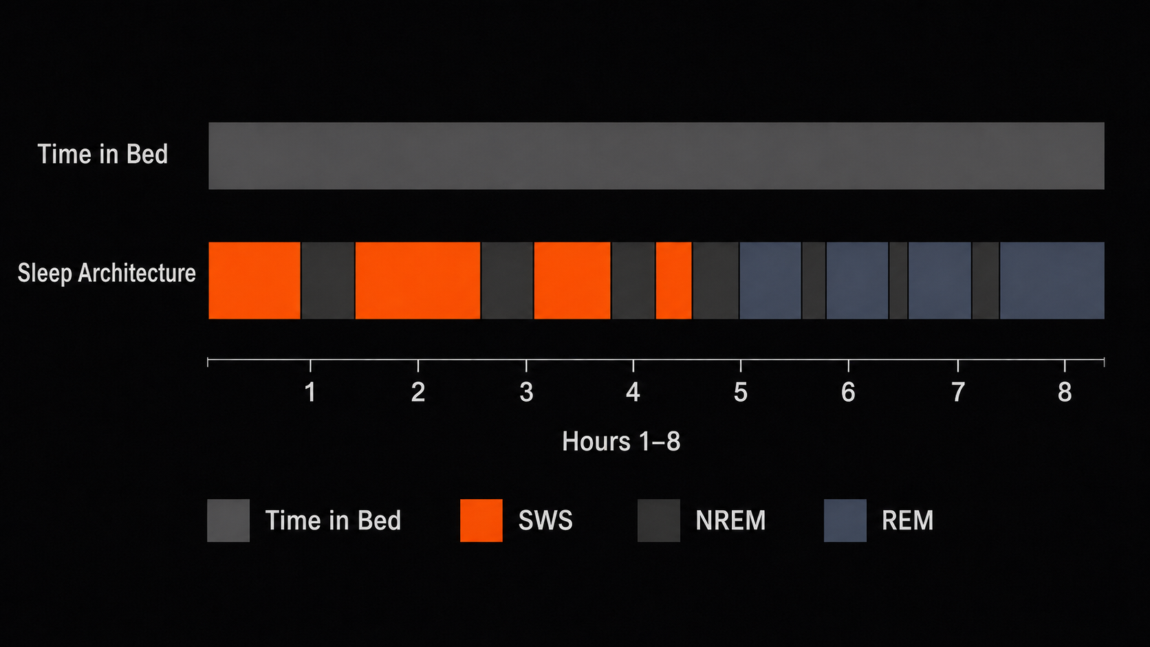 Diagram comparing total time in bed versus functional sleep architecture showing SWS and REM stage distribution
